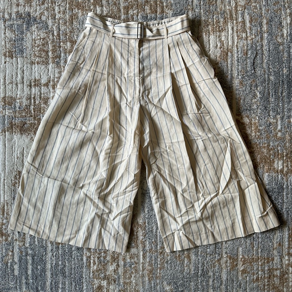 Club Monaco Cream and Blue Striped A-Line Culottes